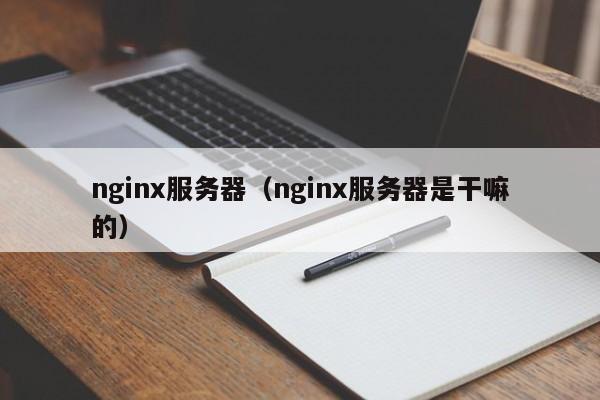 nginx服务器（nginx服务器是干嘛的）