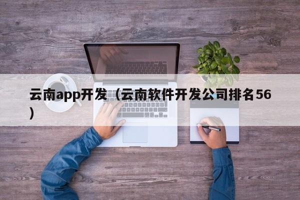 云南app开发（云南软件开发公司排名56）