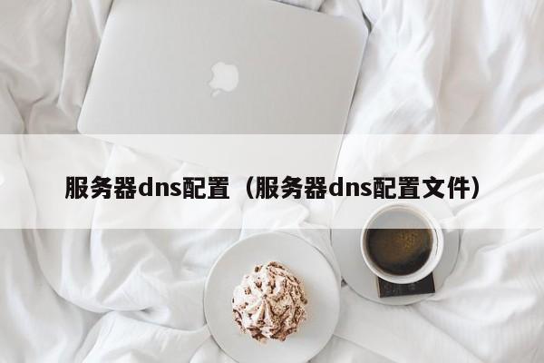 服务器dns配置（服务器dns配置文件）