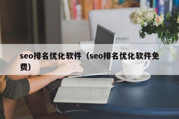 seo排名优化软件（seo排名优化软件免费）