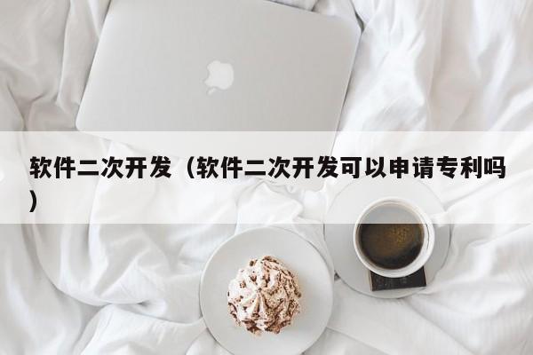 软件二次开发（软件二次开发可以申请专利吗）