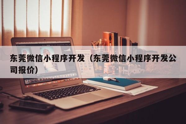 东莞微信小程序开发（东莞微信小程序开发公司报价）