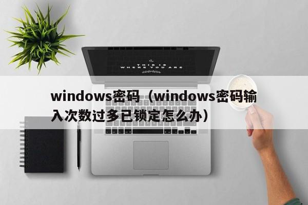 windows密码（windows密码输入次数过多已锁定怎么办）