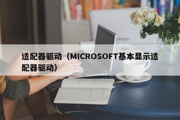 适配器驱动（MICROSOFT基本显示适配器驱动）