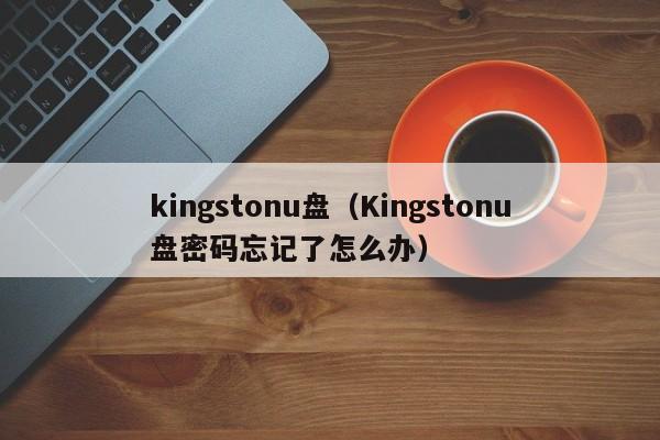 kingstonu盘（Kingstonu盘密码忘记了怎么办）