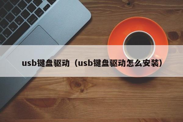 usb键盘驱动（usb键盘驱动怎么安装）