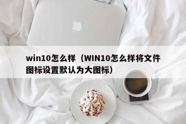 win10怎么样（WIN10怎么样将文件图标设置默认为大图标）