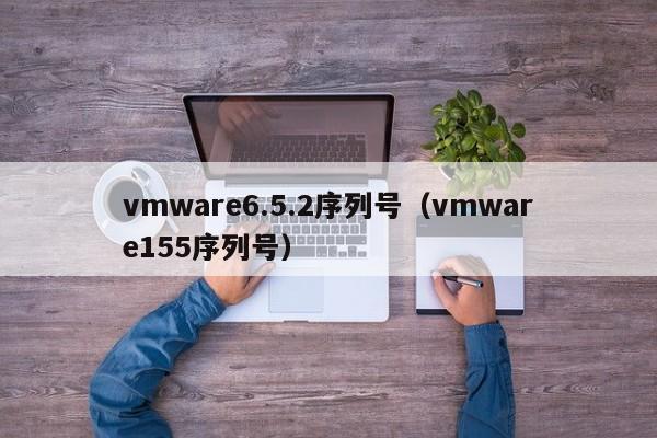 vmware6.5.2序列号（vmware155序列号）