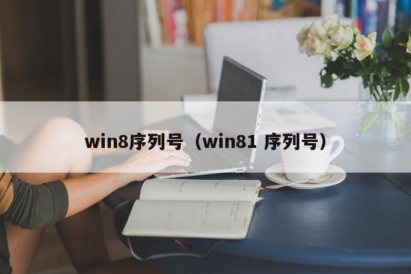 win8序列号（win81 序列号）