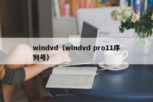 windvd（windvd pro11序列号）