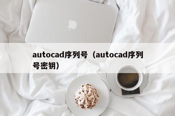 autocad序列号（autocad序列号密钥）