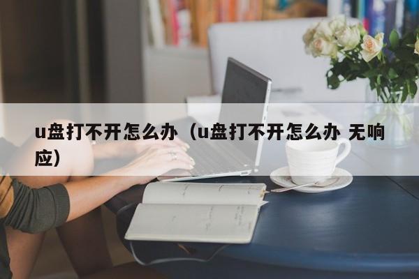 u盘打不开怎么办（u盘打不开怎么办 无响应）