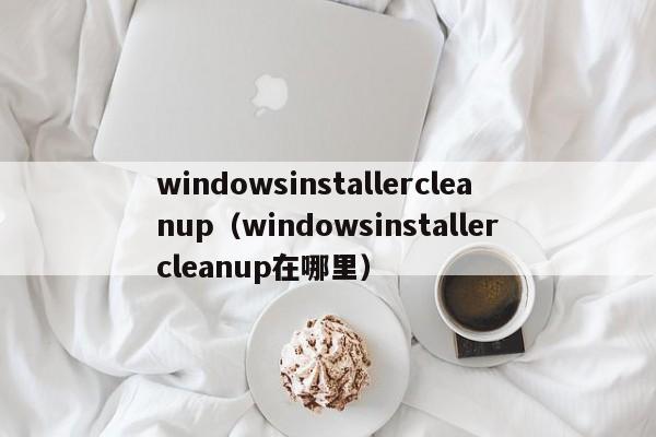 windowsinstallercleanup（windowsinstallercleanup在哪里）