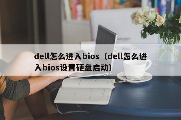 dell怎么进入bios（dell怎么进入bios设置硬盘启动）