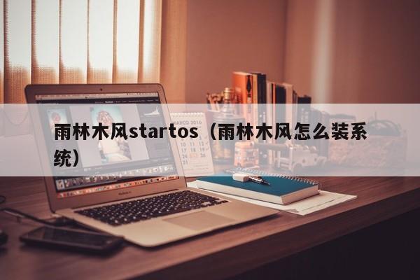 雨林木风startos（雨林木风怎么装系统）