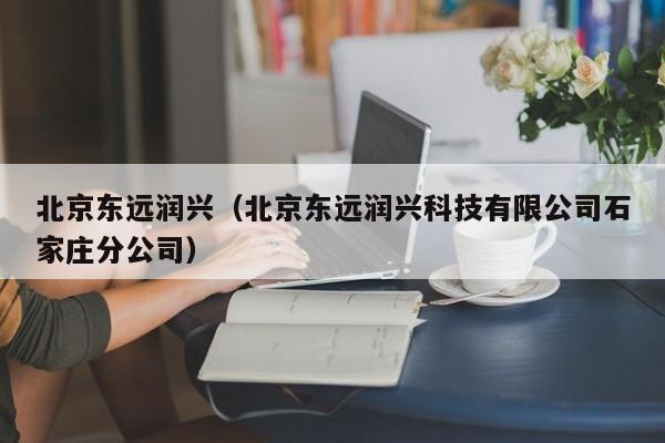 北京东远润兴（北京东远润兴科技有限公司石家庄分公司）