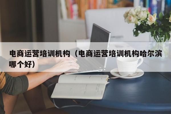 电商运营培训机构（电商运营培训机构哈尔滨哪个好）