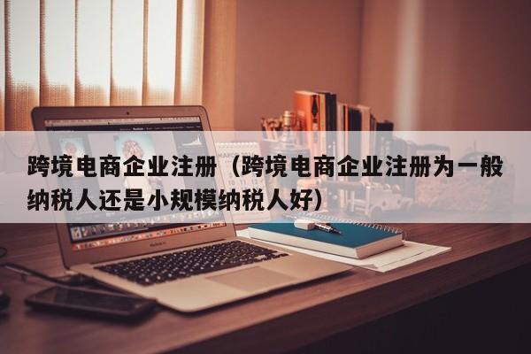 跨境电商企业注册（跨境电商企业注册为一般纳税人还是小规模纳税人好）