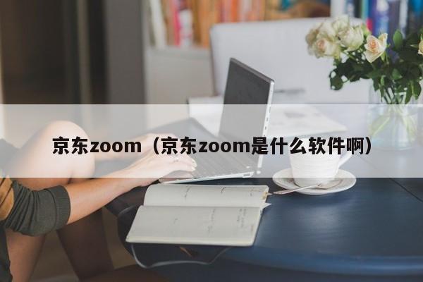 京东zoom（京东zoom是什么软件啊）