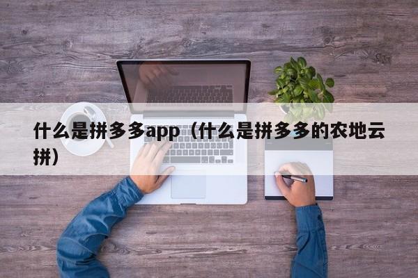 什么是拼多多app（什么是拼多多的农地云拼）