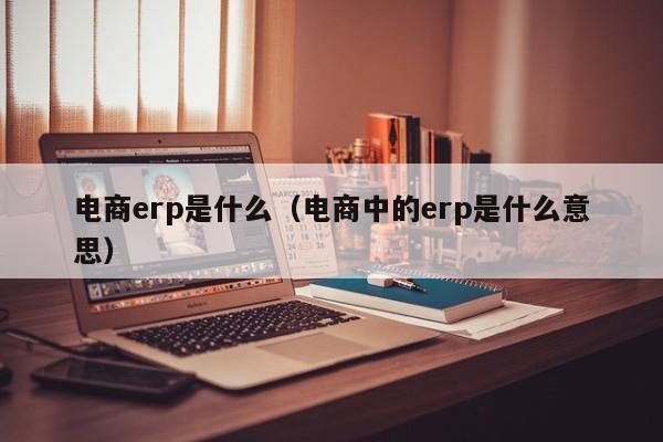 电商erp是什么（电商中的erp是什么意思）