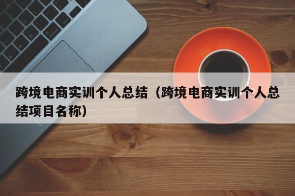 跨境电商实训个人总结（跨境电商实训个人总结项目名称）