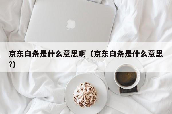 京东白条是什么意思啊（京东白条是什么意思?）