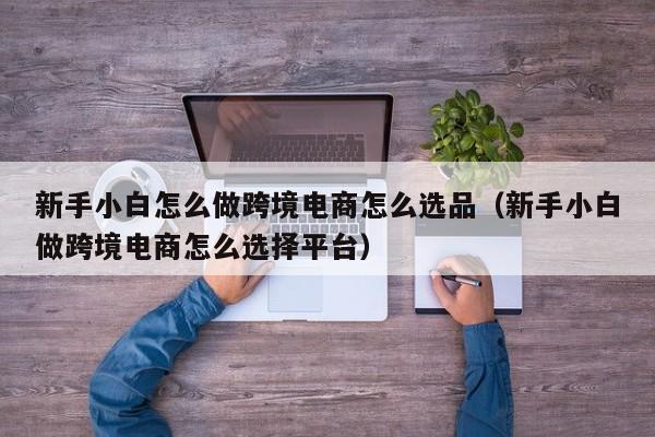 新手小白怎么做跨境电商怎么选品（新手小白做跨境电商怎么选择平台）