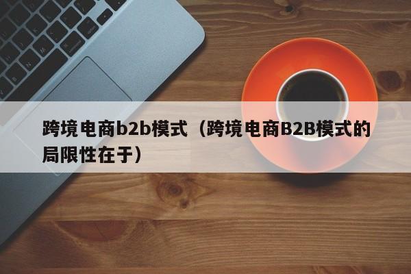 跨境电商b2b模式（跨境电商B2B模式的局限性在于）