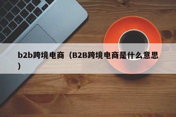 b2b跨境电商（B2B跨境电商是什么意思）