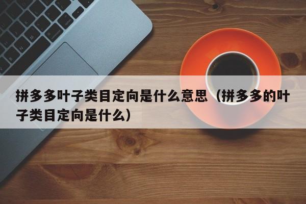 拼多多叶子类目定向是什么意思（拼多多的叶子类目定向是什么）