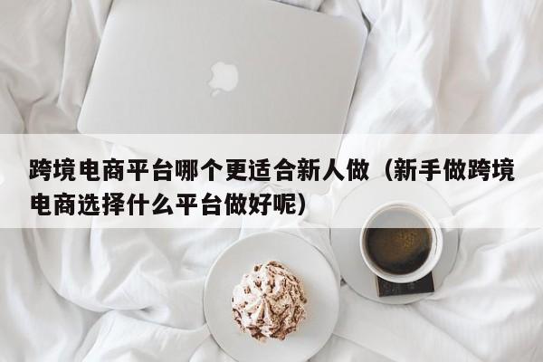 跨境电商平台哪个更适合新人做（新手做跨境电商选择什么平台做好呢）