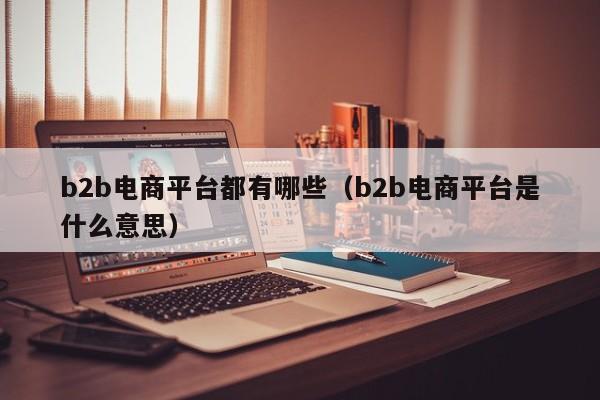 b2b电商平台都有哪些（b2b电商平台是什么意思）