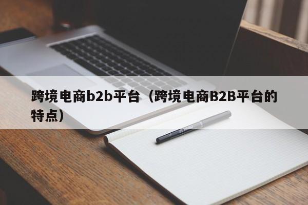 跨境电商b2b平台（跨境电商B2B平台的特点）