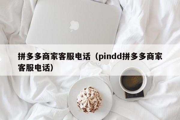 拼多多商家客服电话（pindd拼多多商家客服电话）