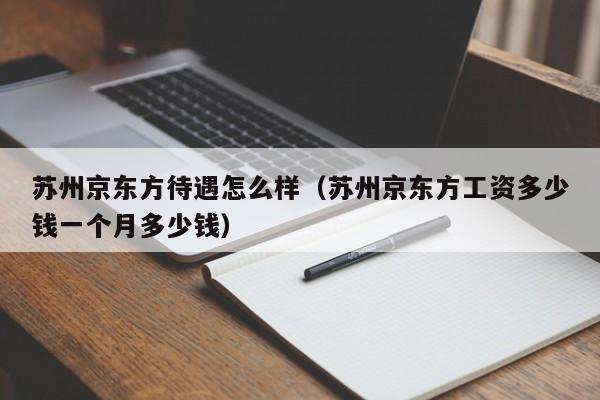 苏州京东方待遇怎么样（苏州京东方工资多少钱一个月多少钱）