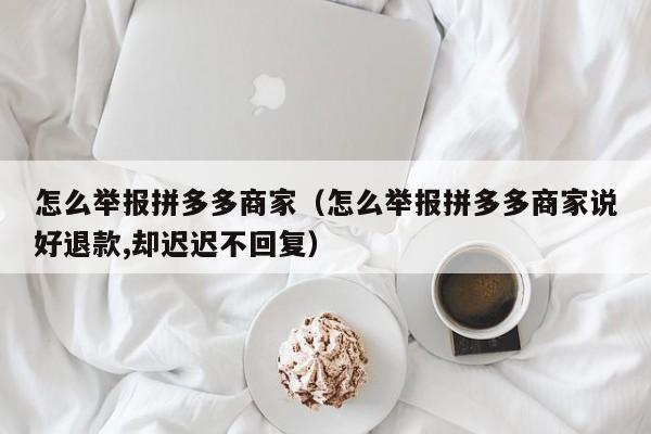 怎么举报拼多多商家（怎么举报拼多多商家说好退款,却迟迟不回复）