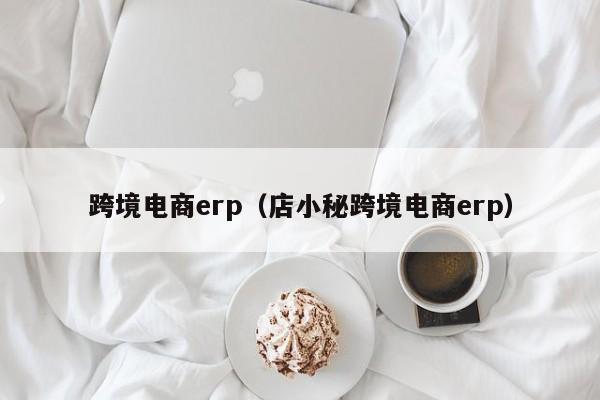 跨境电商erp（店小秘跨境电商erp）