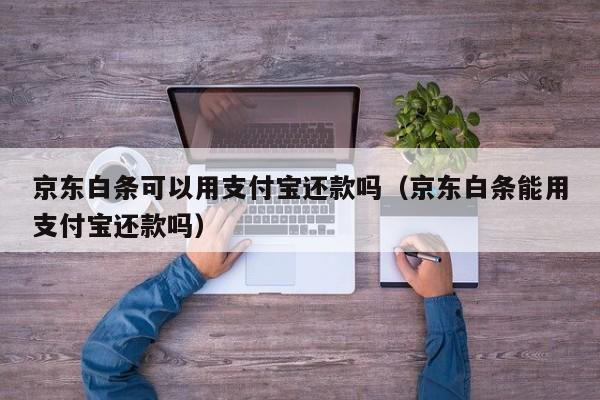 京东白条可以用支付宝还款吗（京东白条能用支付宝还款吗）