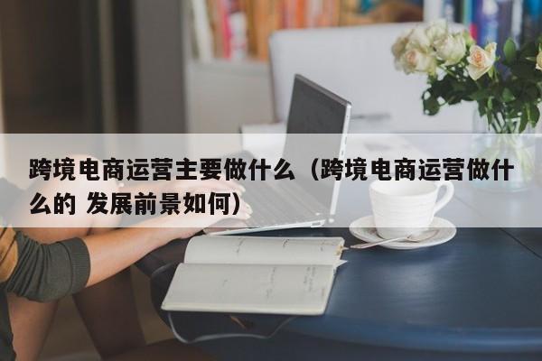 跨境电商运营主要做什么（跨境电商运营做什么的 发展前景如何）