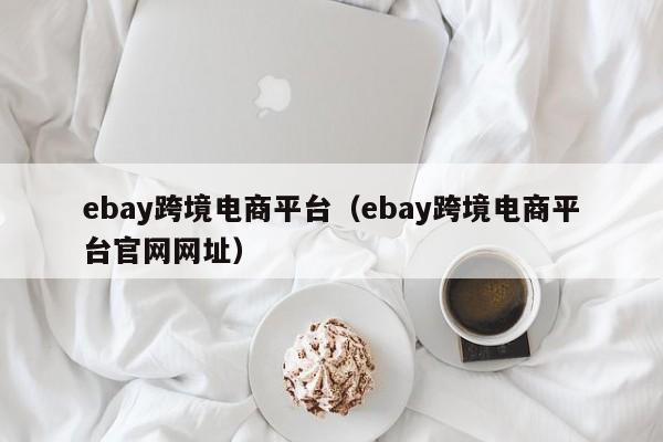 ebay跨境电商平台（ebay跨境电商平台官网网址）