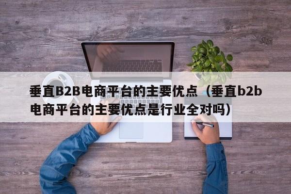 垂直B2B电商平台的主要优点（垂直b2b电商平台的主要优点是行业全对吗）