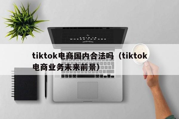 tiktok电商国内合法吗（tiktok电商业务未来前景）