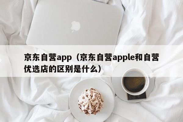 京东自营app（京东自营apple和自营优选店的区别是什么）