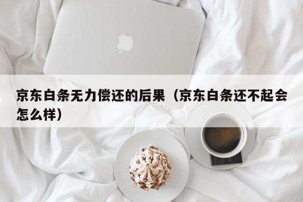 京东白条无力偿还的后果（京东白条还不起会怎么样）