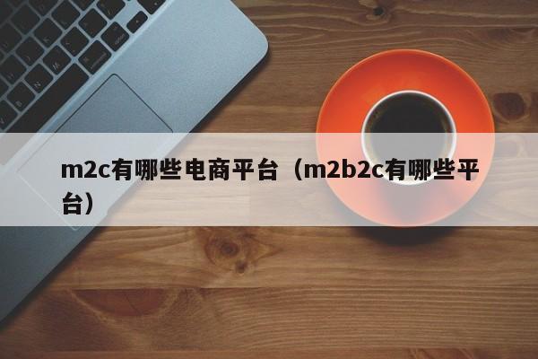 m2c有哪些电商平台（m2b2c有哪些平台）