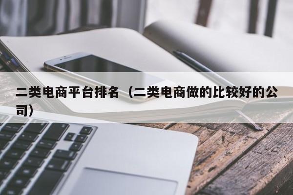 二类电商平台排名（二类电商做的比较好的公司）