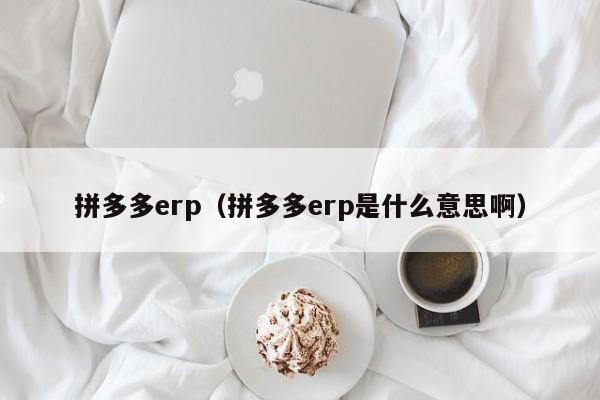 拼多多erp（拼多多erp是什么意思啊）