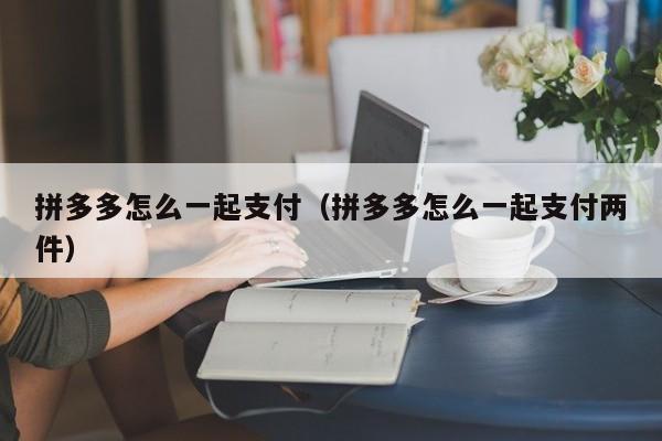 拼多多怎么一起支付（拼多多怎么一起支付两件）