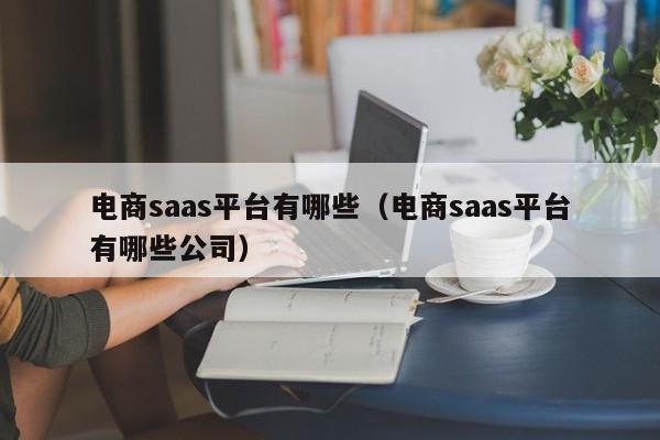 电商saas平台有哪些（电商saas平台有哪些公司）